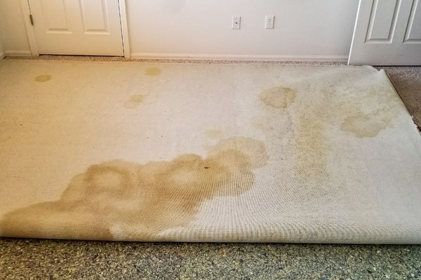 Remove carpet stains - Dumpster Rental Providence, RI